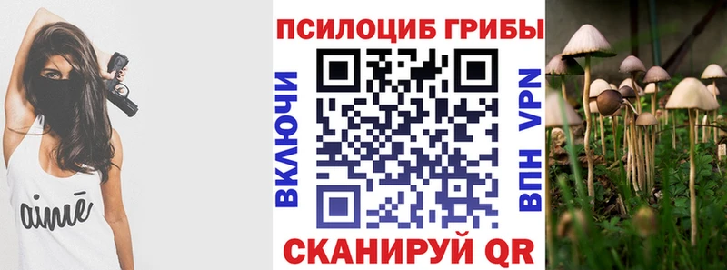 продажа наркотиков  Артёмовский  ссылка на мегу ТОР  Галлюциногенные грибы MAGIC MUSHROOMS 