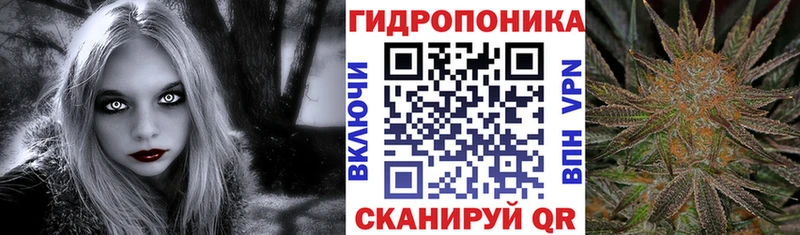 Бошки Шишки гибрид  закладка  Артёмовский 